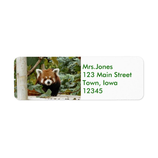 Red Panda Return Address Label (Front)