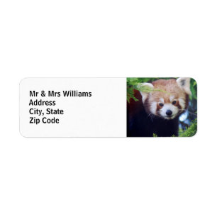 Red Panda Return Address Label