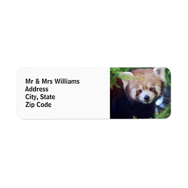 Red Panda Return Address Label (Front)