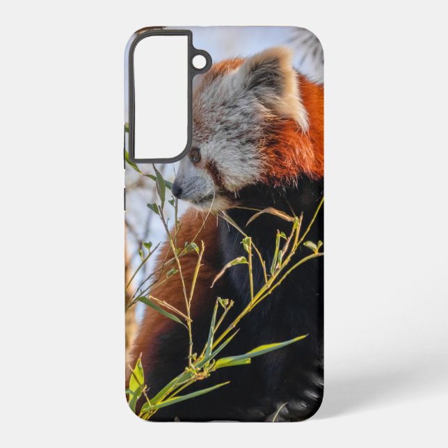 Red panda samsung galaxy s22+ case (Back)