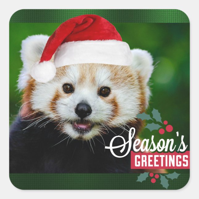 Red Panda Santa Square Sticker (Front)