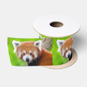 Red Panda Satin Ribbon