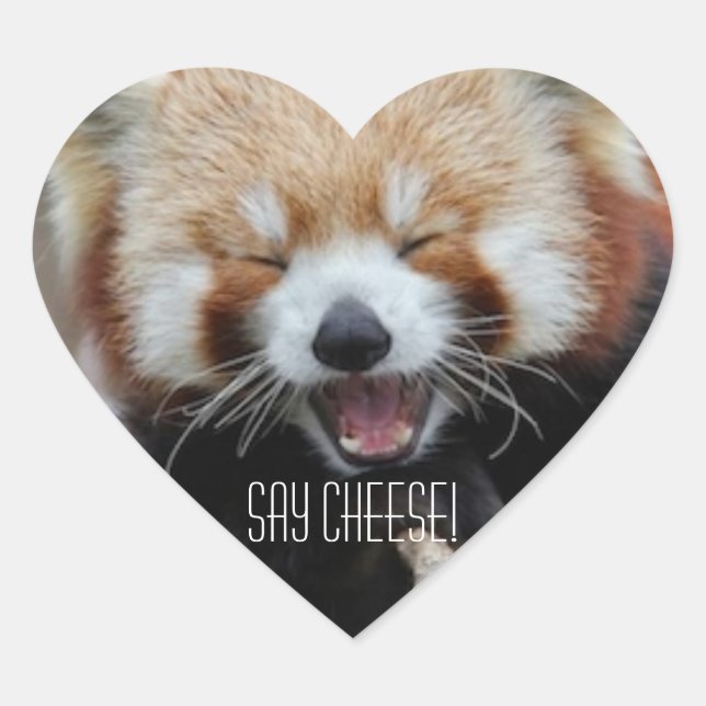 Red Panda - Say Cheese! Heart Sticker (Front)