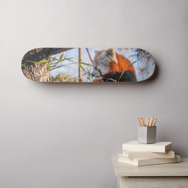 Red panda skateboard (Wall Art (Horz))