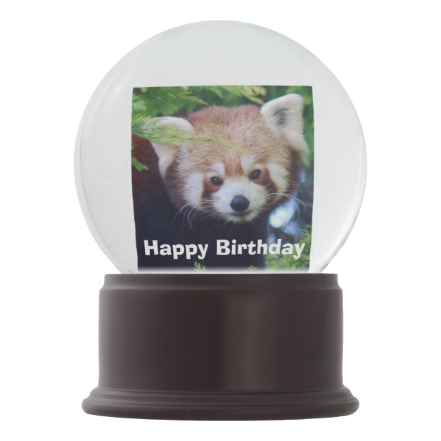 Red Panda Snow Globe (Front)