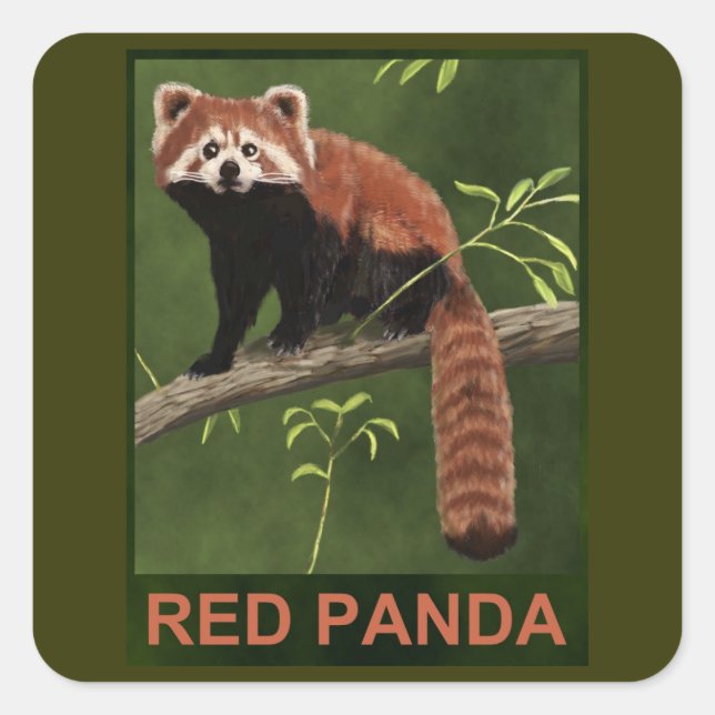 Red Panda Square Sticker (Front)