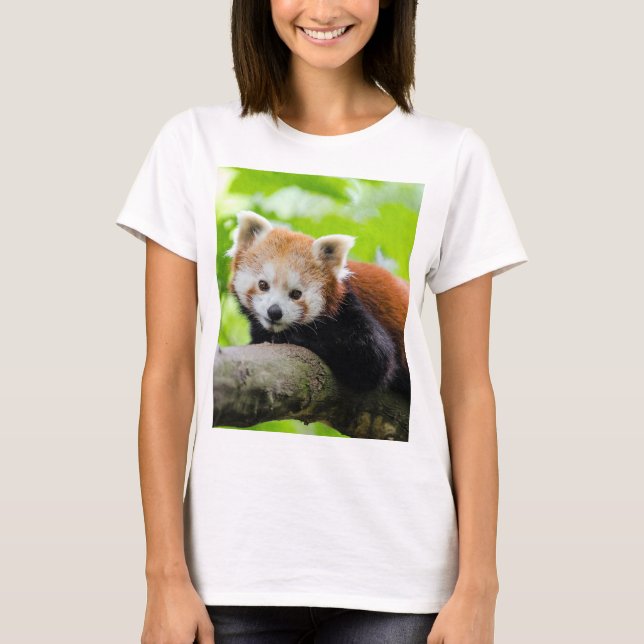 Red Panda T-Shirt (Front)
