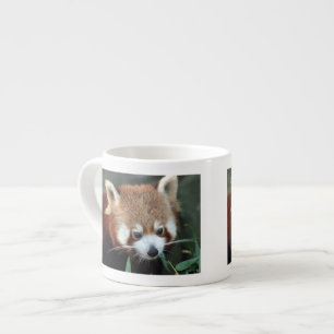Red Panda, Taronga Zoo, Sydney, Australia Espresso Cup