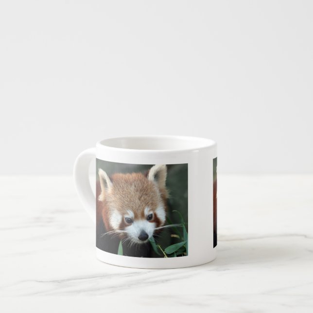 Red Panda, Taronga Zoo, Sydney, Australia Espresso Cup (Front Left)