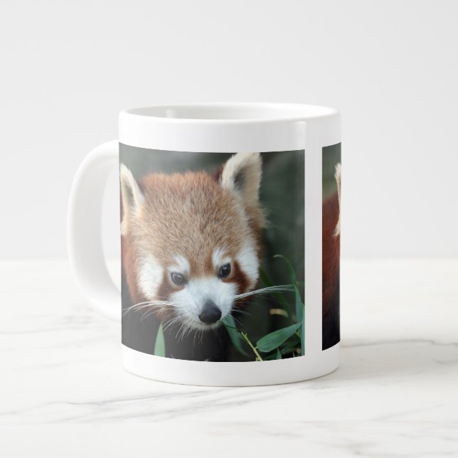Red Panda, Taronga Zoo, Sydney, Australia Large Coffee Mug (Front Left)
