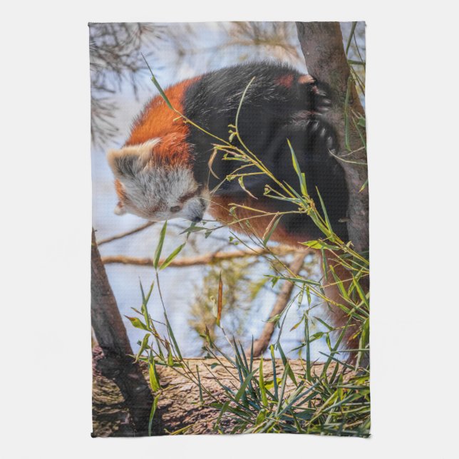 Red panda tea towel (Vertical)