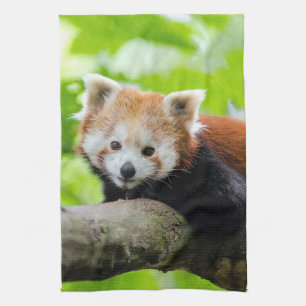 Red Panda Tea Towel