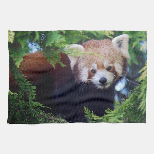 Red Panda Tea Towel (Horizontal)