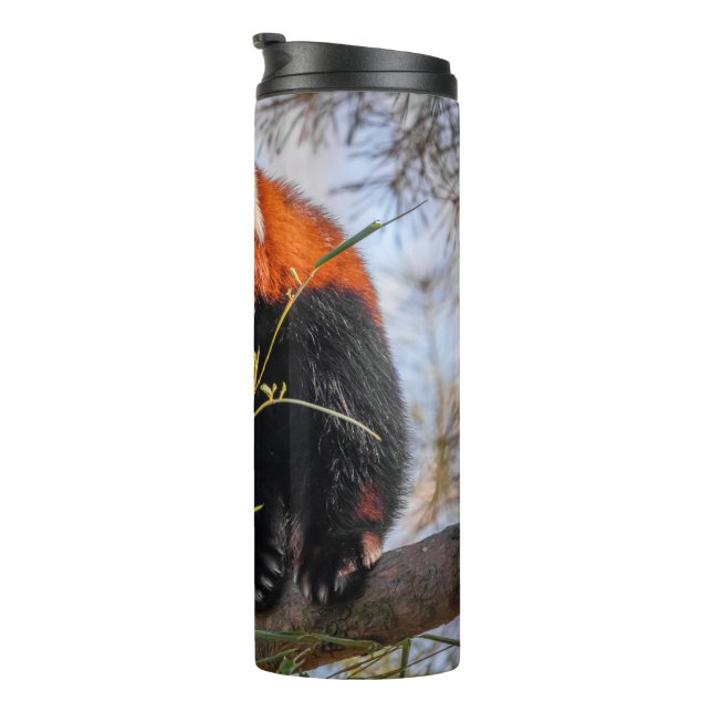 Red panda thermal tumbler (Rotated Right)