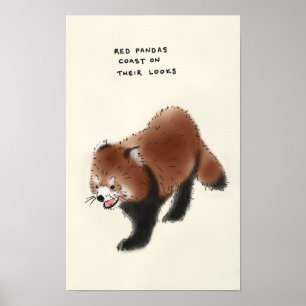 red panda trivia poster