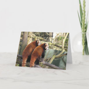 Red Panda Valentine Card