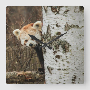 Red Panda Wall Clock