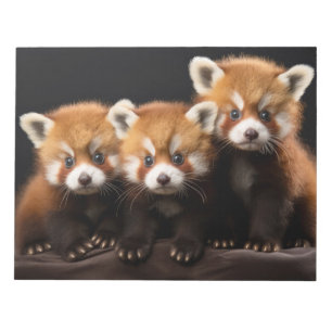 Red Panda Wild Animal Portrait Nature Beauty Notepad
