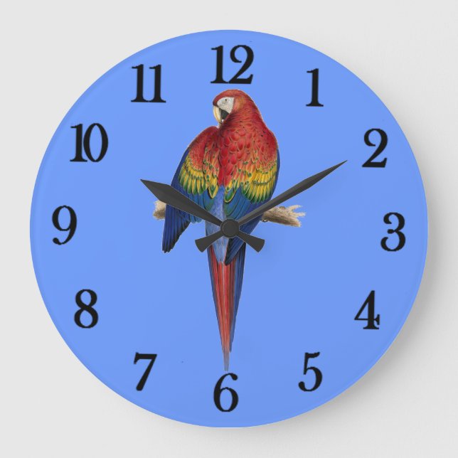 Red parrot large clock (Front)