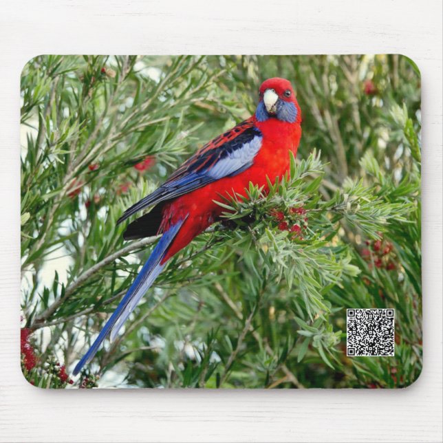 Red Parrot Mousepad (Front)