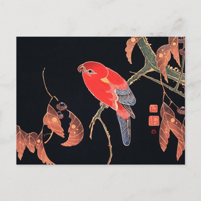 Red Parrot on the Branch of a Tree by Ito Jakuchu Postcard (Front)