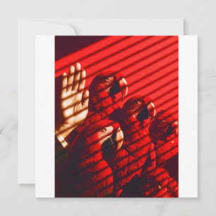Red Parrots and a Hand Holiday Card