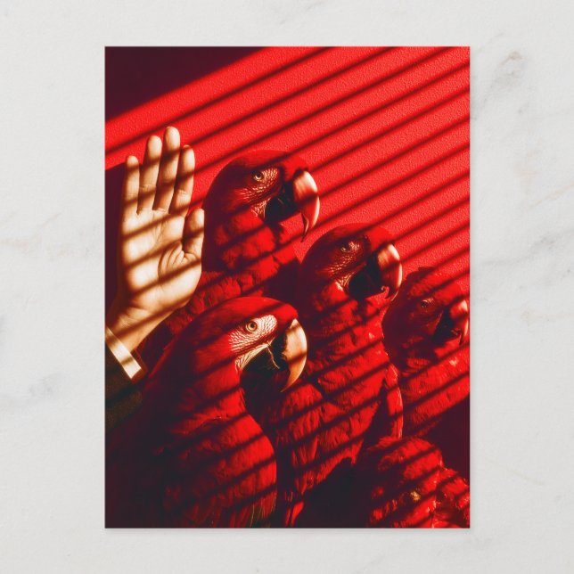 Red Parrots and a Hand Postcard (Front)
