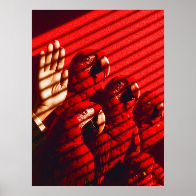 Red Parrots and a Hand Poster (Front)