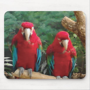 Red Parrots Mouse Pad