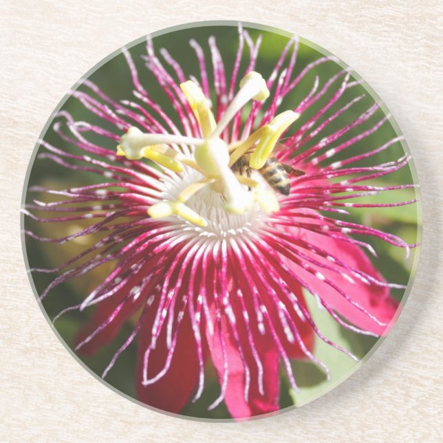 Red Passion Flower with Bee Coaster (Front)