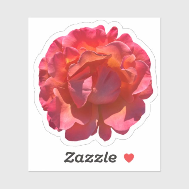 Red Peach Rose Blossom (Sheet)