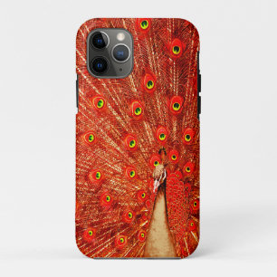 Red Peacock Displaying His Red Feathers, iPhone 11 Pro Case