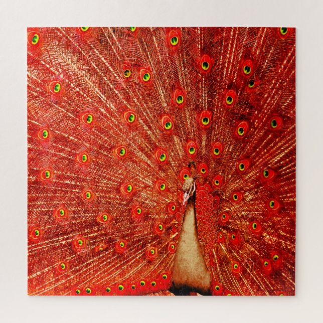 Red Peacock Displaying His Red Feathers,  Jigsaw Puzzle (Vertical)
