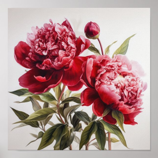 Red Peonies Flower Art Print Poster (Front)