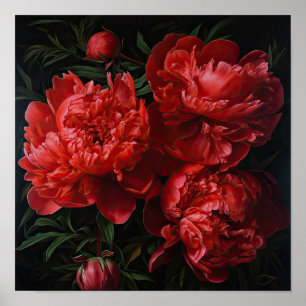 Red Peonies Flower Art Print Poster