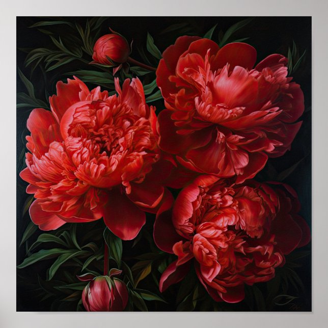 Red Peonies Flower Art Print Poster (Front)