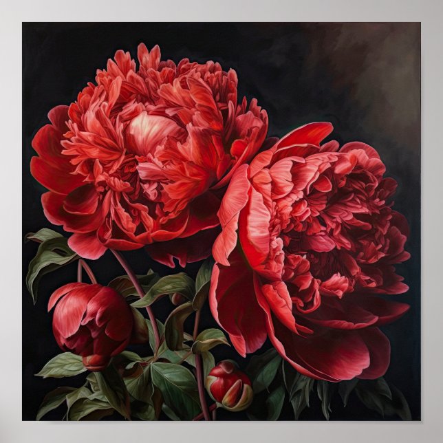 Red Peonies Flower Art Print Poster (Front)