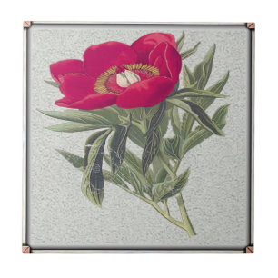 Red Peony Ceramic Tile