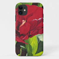 Red Peony Floral