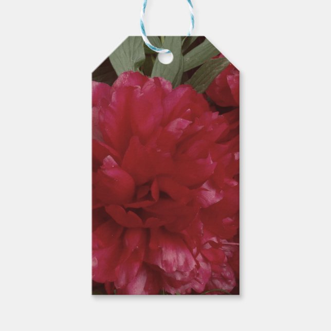 Red Peony Flower Photo  Gift Tag (Front)