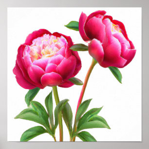 Red Peony Flowers Art Print Poster