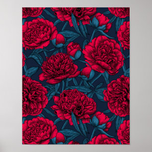 Red peony garden on dark blue poster