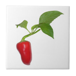 Red pepper ceramic tile