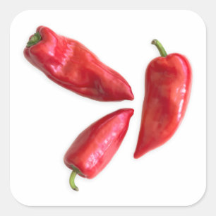 Red pepper square sticker