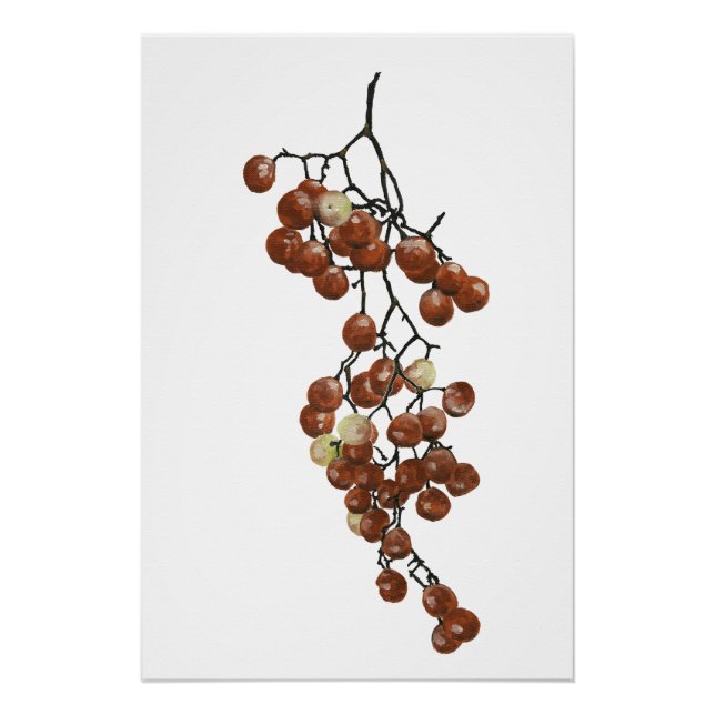 Red Peppercorns - Botanical Study 3 Poster (Front)