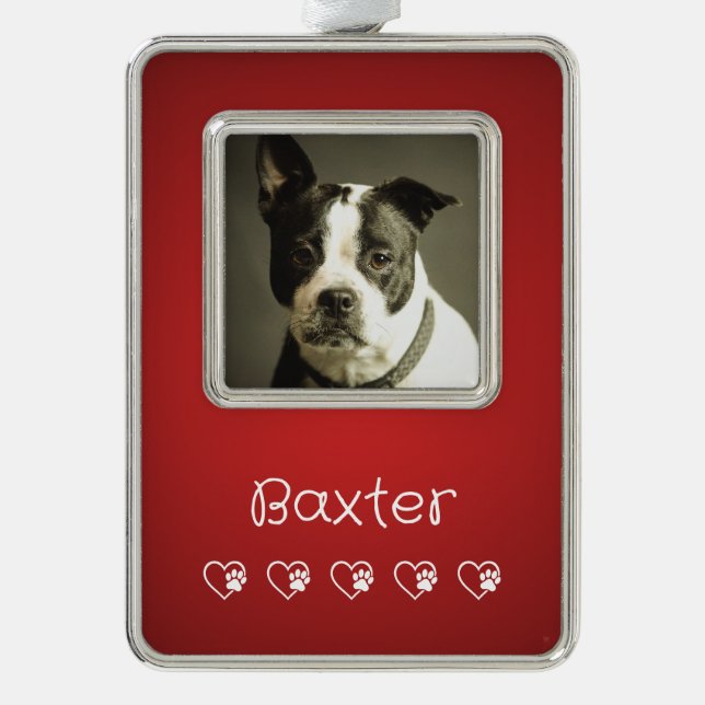 Red Pet Photo Ornament - Custom Photo (Front)