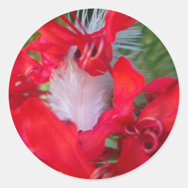 Red Petal Feather Art Print Classic Round Sticker (Front)