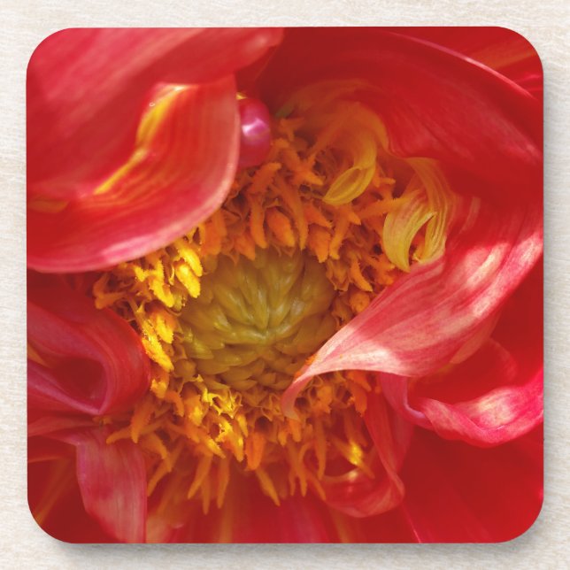 red petals coaster (Front)