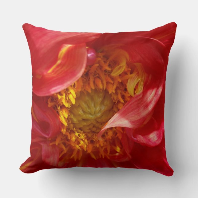 red petals cushion (Front)