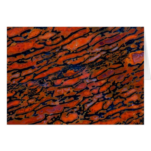 Red Petrified dinosaur bone (Front Horizontal)